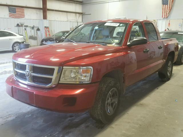 1D7HE38K68S625990 - 2008 DODGE DAKOTA SXT RED photo 2