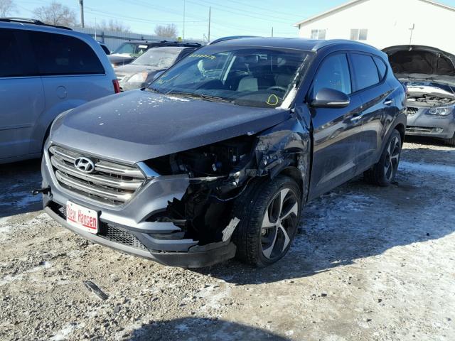 KM8J3CA20GU113216 - 2016 HYUNDAI TUCSON LIM GRAY photo 2