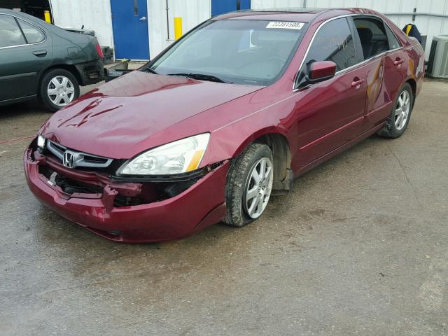 1HGCM66575A067186 - 2005 HONDA ACCORD EX MAROON photo 2