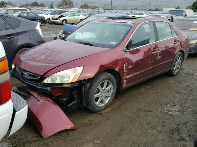 1HGCM66584A027200 - 2004 HONDA ACCORD EX RED photo 2