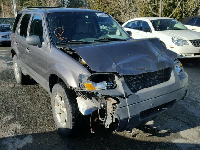 1FMCU93156KC82431 - 2006 FORD ESCAPE XLT GRAY photo 1