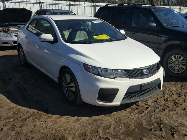 KNAFU6A25D5666925 - 2013 KIA FORTE EX WHITE photo 1