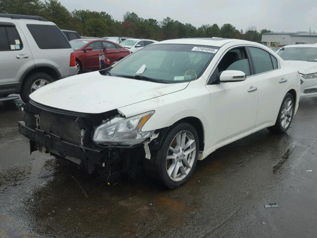 1N4AA5AP2BC819450 - 2011 NISSAN MAXIMA S WHITE photo 2