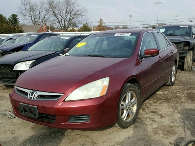 1HGCM56376A181862 - 2006 HONDA ACCORD SE MAROON photo 2