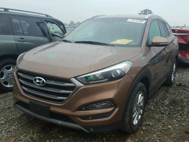 KM8J33A2XGU229894 - 2016 HYUNDAI TUCSON LIM BROWN photo 2