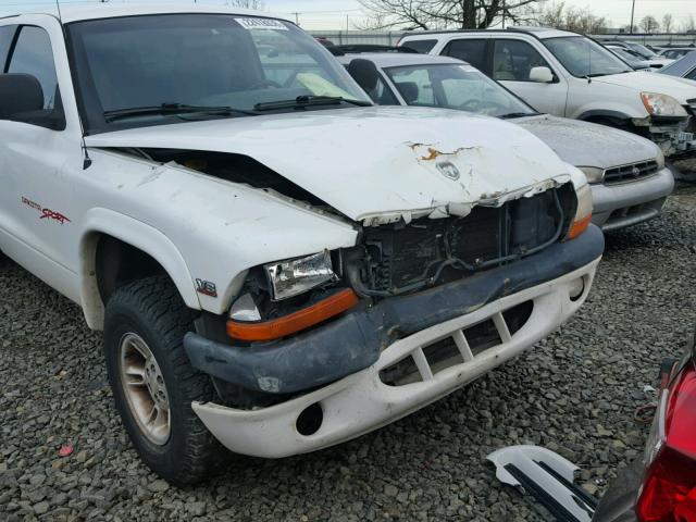 1B7GG22Y3WS724092 - 1998 DODGE DAKOTA WHITE photo 9