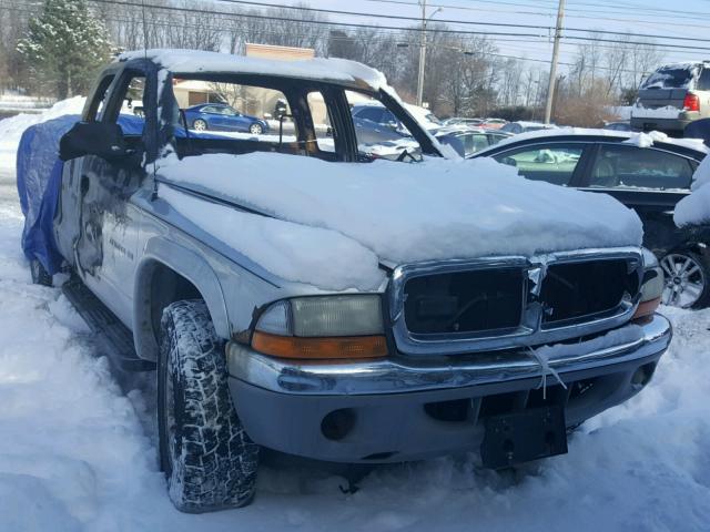 1B7GG22X91S116335 - 2001 DODGE DAKOTA SILVER photo 1