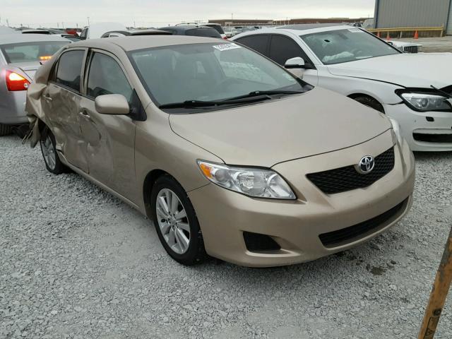 1NXBU4EE6AZ244668 - 2010 TOYOTA COROLLA BA GOLD photo 1