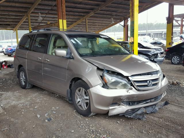 5FNRL38625B041232 - 2005 HONDA ODYSSEY EX GOLD photo 1