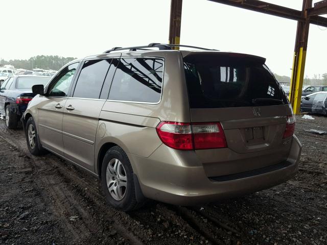 5FNRL38625B041232 - 2005 HONDA ODYSSEY EX GOLD photo 3