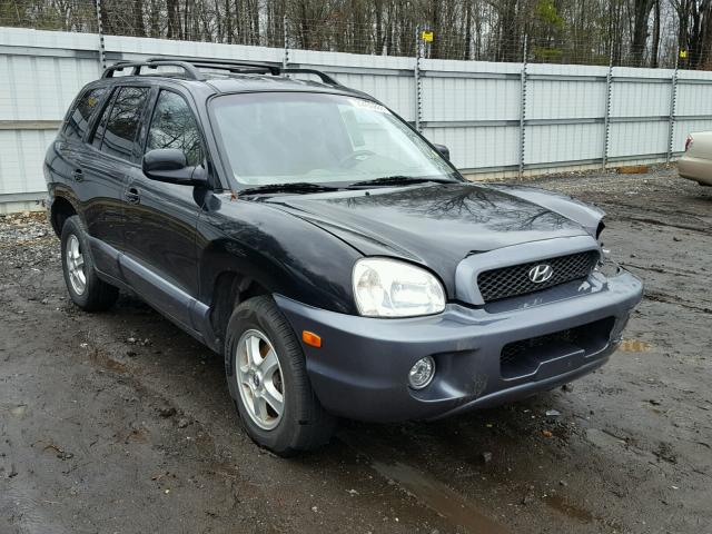 KM8SC13E64U703156 - 2004 HYUNDAI SANTA FE G BLACK photo 1