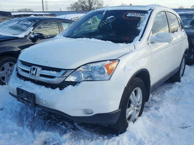 JHLRE4H73AC015645 - 2010 HONDA CR-V EXL WHITE photo 2