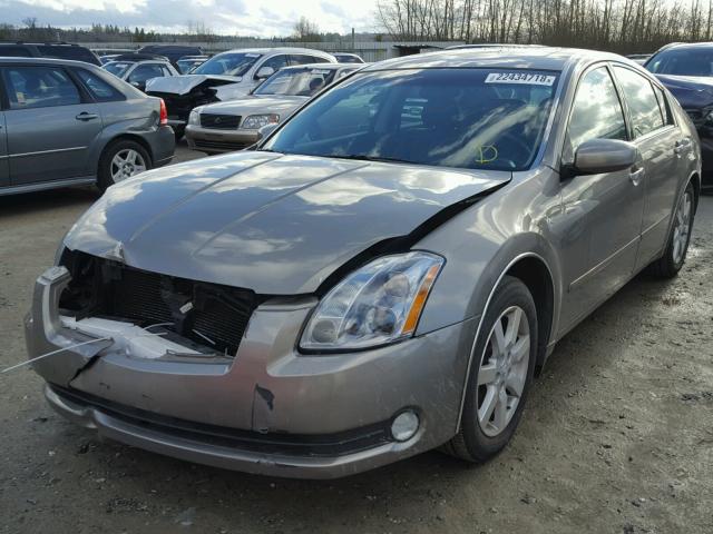 1N4BA41E44C893923 - 2004 NISSAN MAXIMA SE GRAY photo 2