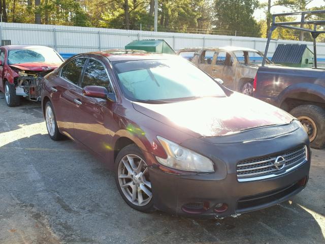 1N4AA5AP4AC810165 - 2010 NISSAN MAXIMA S BURGUNDY photo 1