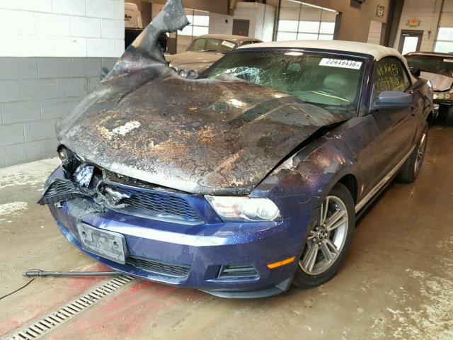 1ZVBP8EN8A5175640 - 2010 FORD MUSTANG BLUE photo 2