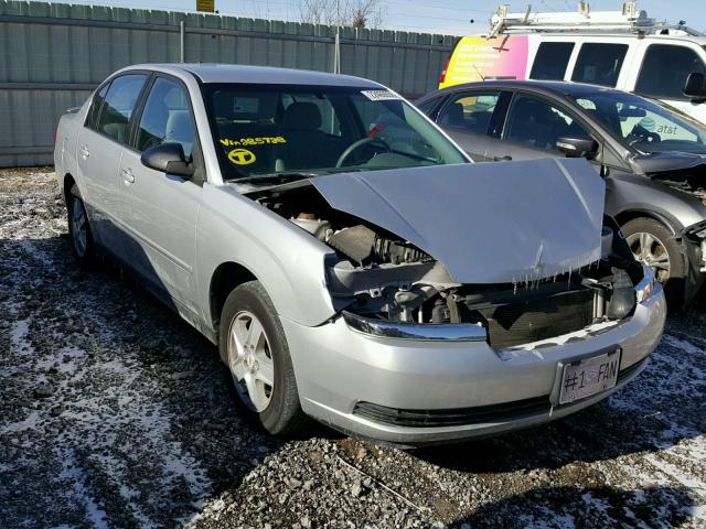 1G1ZT54865F185728 - 2005 CHEVROLET MALIBU LS ვერცხლისფერი ფოტო 1