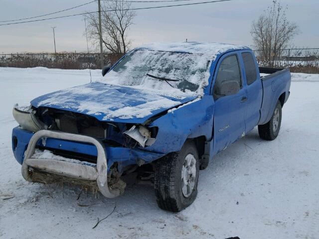 5TEUU42N67Z381238 - 2007 TOYOTA TACOMA ACC BLUE photo 2