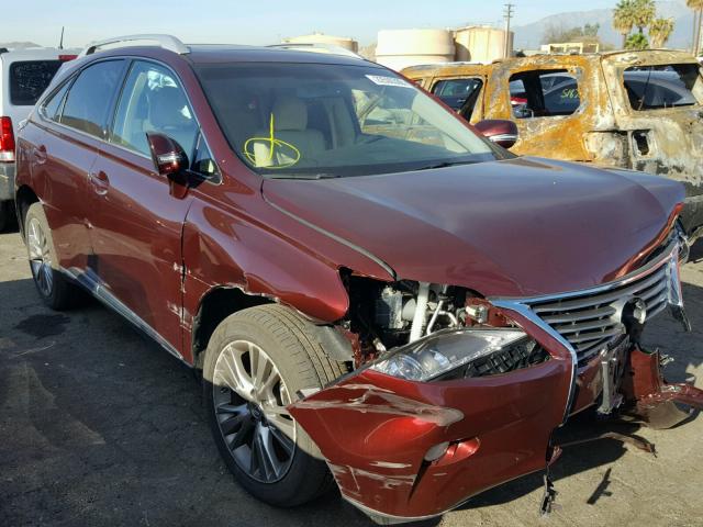 2T2BK1BA6EC226342 - 2014 LEXUS RX 350 BURGUNDY photo 1