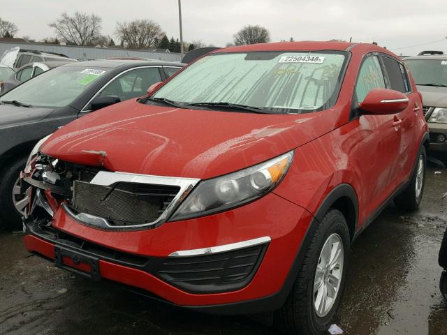 KNDPB3A27B7081356 - 2011 KIA SPORTAGE L RED photo 2