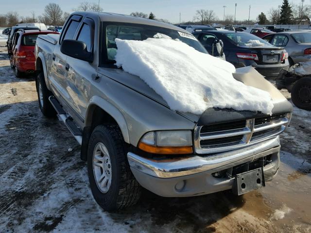 1D7HG48NX4S639976 - 2004 DODGE DAKOTA QUA GOLD photo 1