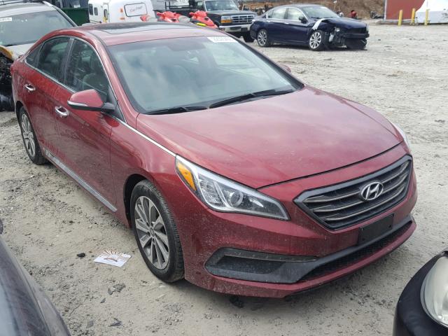 5NPE34AF7GH429138 - 2016 HYUNDAI SONATA SPO RED photo 1