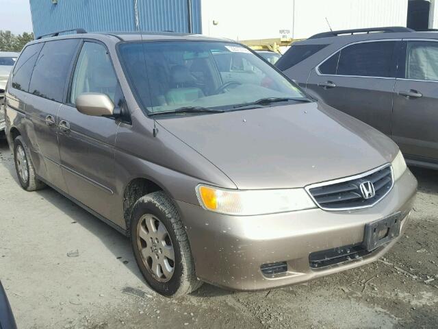 5FNRL18024B068512 - 2004 HONDA ODYSSEY EX GOLD photo 1