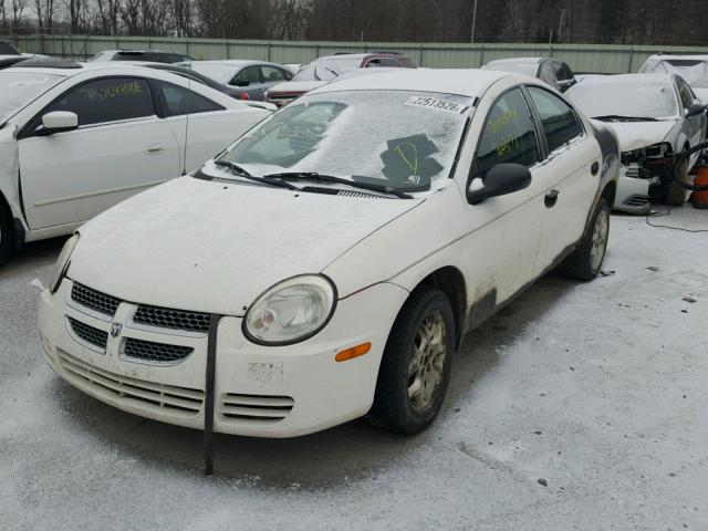 1B3ES26C55D161104 - 2005 DODGE NEON BASE WHITE photo 2