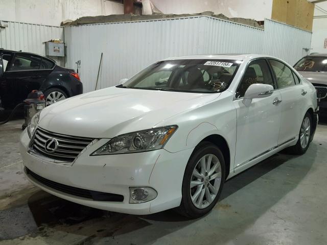 JTHBK1EG4C2482395 - 2012 LEXUS ES 350 WHITE photo 2