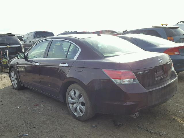 5KBCP3F86AB006882 - 2010 HONDA ACCORD EXL BURGUNDY photo 3