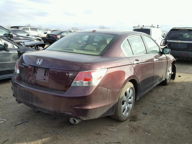 5KBCP3F86AB006882 - 2010 HONDA ACCORD EXL BURGUNDY photo 4