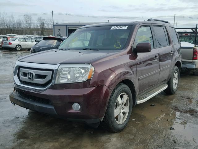 5FNYF4H59BB037254 - 2011 HONDA PILOT EXL MAROON photo 2