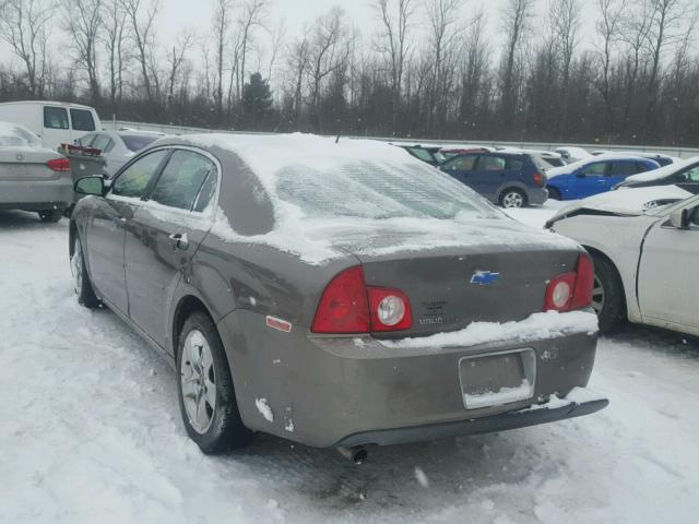 1G1ZC5EB5AF117361 - 2010 CHEVROLET MALIBU 1LT BROWN photo 3