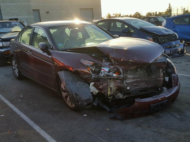 1HGCP26809A036393 - 2009 HONDA ACCORD EXL BURGUNDY photo 1