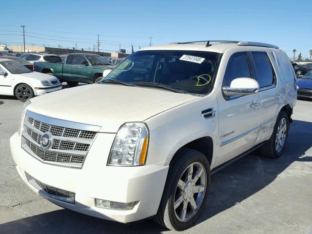 1GYFC33239R204908 - 2009 CADILLAC ESCALADE P CREAM photo 2