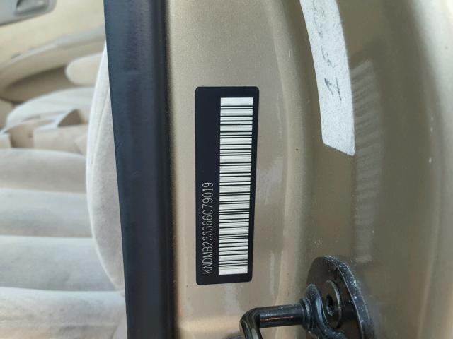 KNDMB233366079019 - 2006 KIA SEDONA EX GOLD photo 10