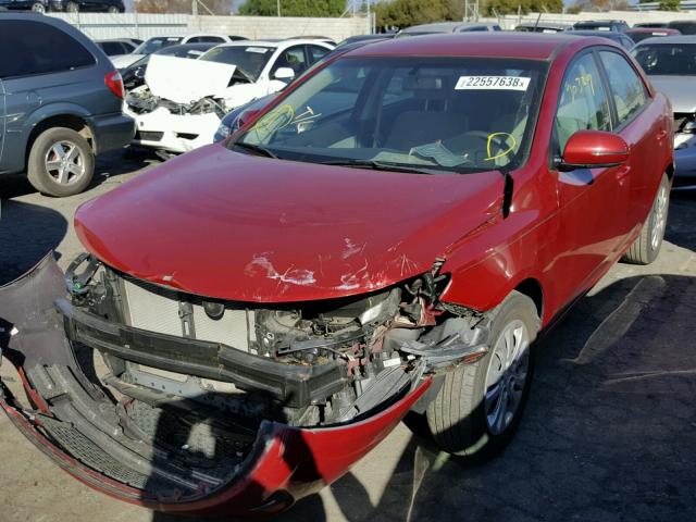 KNAFU4A29C5565115 - 2012 KIA FORTE EX RED photo 2