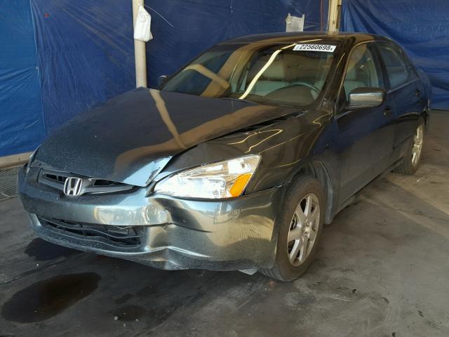 1HGCM66565A057491 - 2005 HONDA ACCORD EX GREEN photo 2