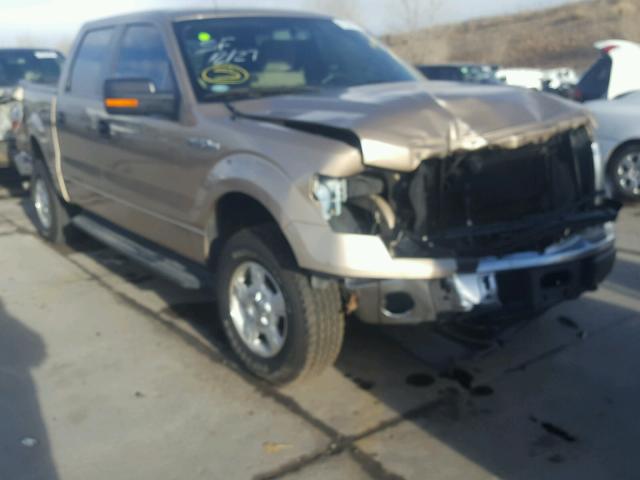 1FTFW1EF1DKE84251 - 2013 FORD F150 SUPER GOLD photo 1