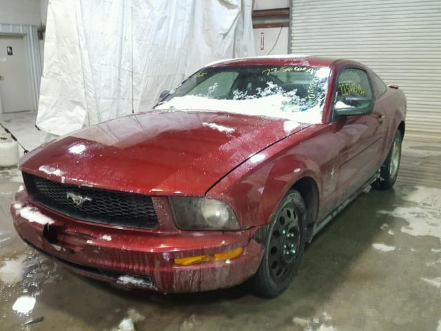 1ZVFT80N975211364 - 2007 FORD MUSTANG RED photo 2