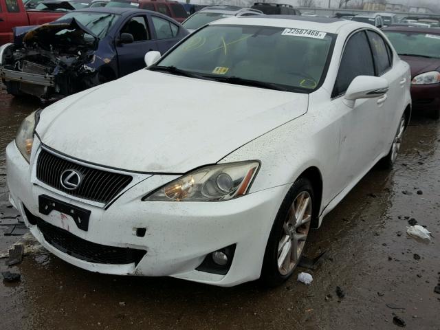 JTHCF5C28B5044791 - 2011 LEXUS IS 250 WHITE photo 2