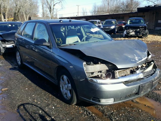 1G1ZU64864F200732 - 2004 CHEVROLET MALIBU MAX GRAY photo 1