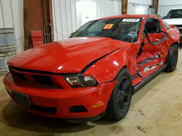 1ZVBP8AM6B5125107 - 2011 FORD MUSTANG RED photo 2