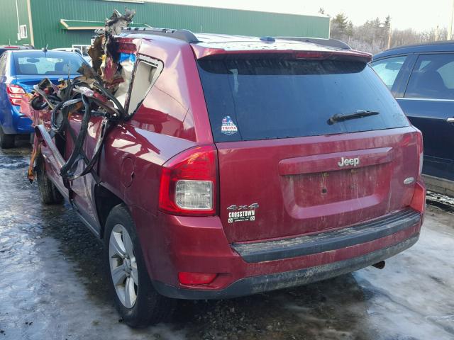 1J4NF1FB5BD219139 - 2011 JEEP COMPASS SP BURGUNDY photo 3