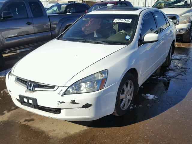 1HGCM66525A016713 - 2005 HONDA ACCORD EX WHITE photo 2