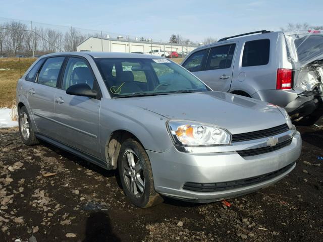 1G1ZT64844F201493 - 2004 CHEVROLET MALIBU MAX SILVER photo 1