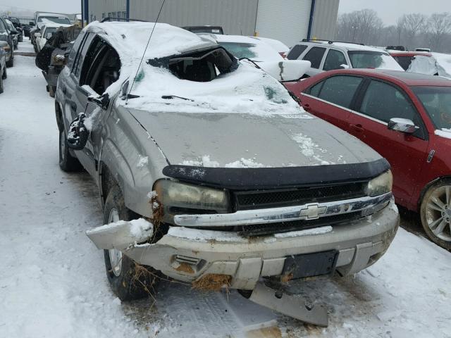 1GNDT13SX32202596 - 2003 CHEVROLET TRAILBLAZE TAN photo 9