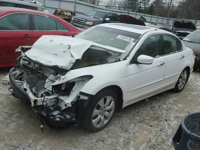 1HGCP26858A048828 - 2008 HONDA ACCORD EXL WHITE photo 2