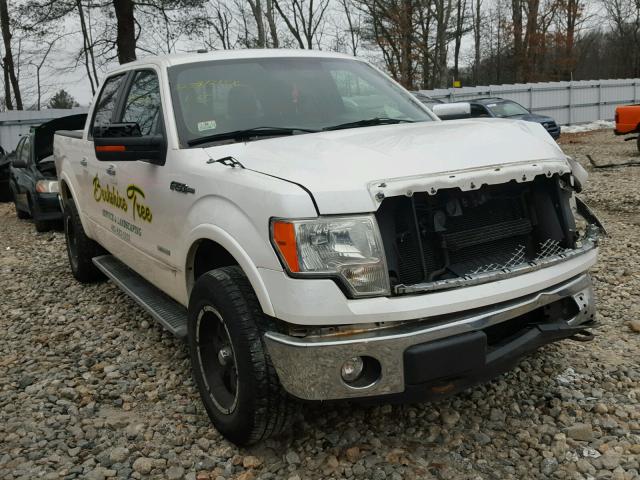 1FTFW1ET7BKE21125 - 2011 FORD F150 SUPER WHITE photo 1