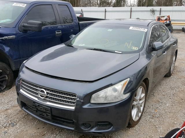 1N4AA51E59C845257 - 2009 NISSAN MAXIMA S BLUE photo 2