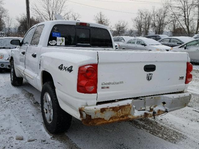 1D7HW48N75S188185 - 2005 DODGE DAKOTA QUA WHITE photo 3